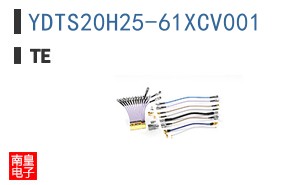 YDTS20H25-61XCV001