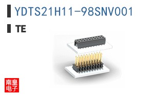 YDTS21H11-98SNV001