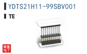 YDTS21H11-99SBV001