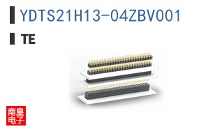 YDTS21H13-04ZBV001