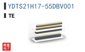 YDTS21H17-55DBV001