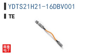 YDTS21H21-16DBV001