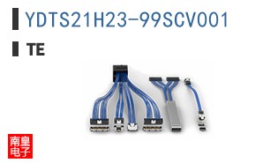 YDTS21H23-99SCV001