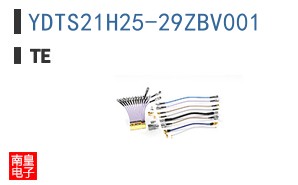 YDTS21H25-29ZBV001