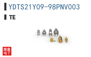 YDTS21Y09-98PNV003