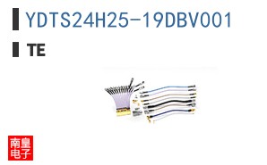 YDTS24H25-19DBV001